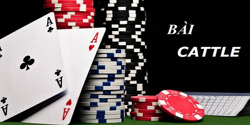 Tìm hiểu về game bài cát tê? Cách chơi bài cát tê luôn thắng 5 3 4 1